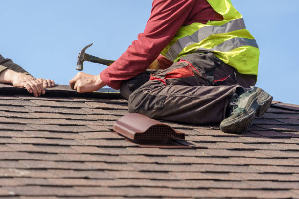 Best Roof Gutter Cleaning  in Oak Grove Heights, AR